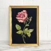 CANEVAS FLEUR ROSE