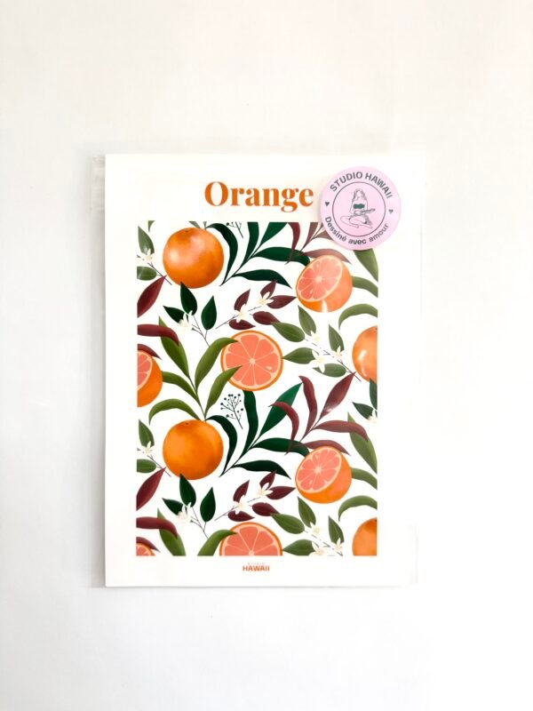 AFFICHE STUDIO HAWAII ORANGES A5