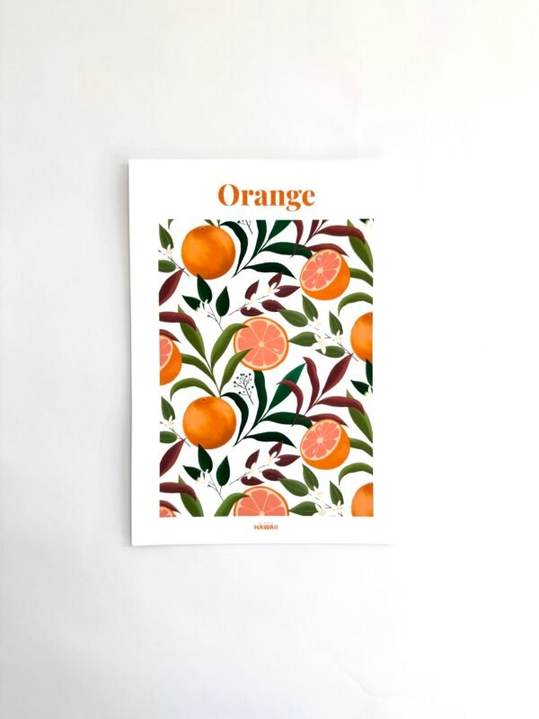 AFFICHE STUDIO HAWAII ORANGES A5