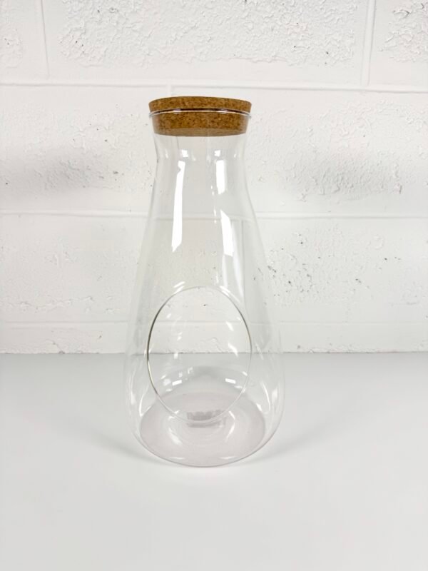 IMG_7531 TERRARIUM BOUTEILLE