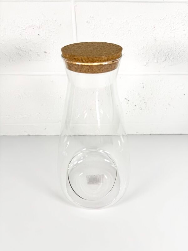 IMG_7532 TERRARIUM BOUTEILLE