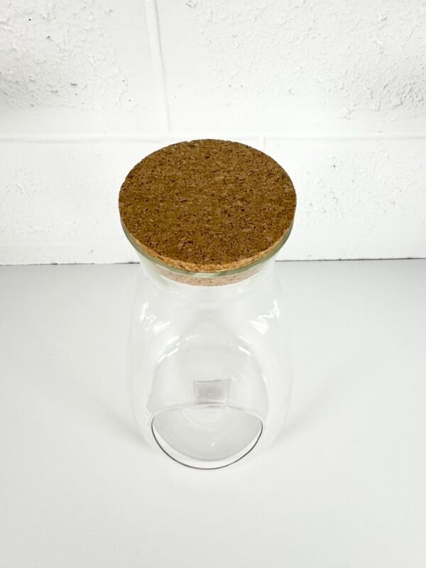 IMG_7533 TERRARIUM BOUTEILLE