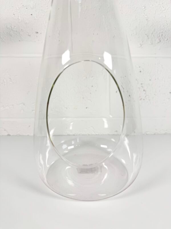 IMG_7534 TERRARIUM BOUTEILLE