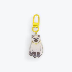 PORTE CLÉS CHAT GRINCHEUX