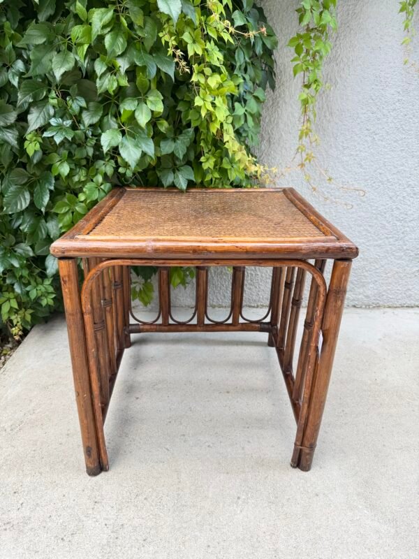 IMG_6960 2 TABLE D'APPOINT ROTIN