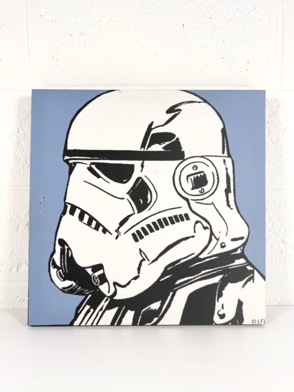 IMG_7652 TOILE STAR WARS STORMTROOPER