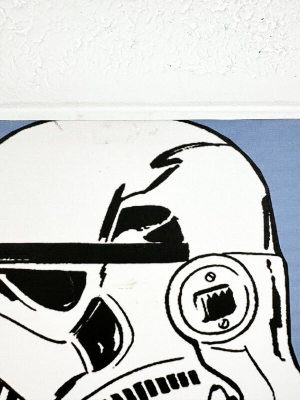 IMG_7654 TOILE STAR WARS STORMTROOPER