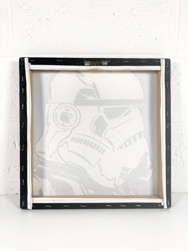 IMG_7655 TOILE STAR WARS STORMTROOPER