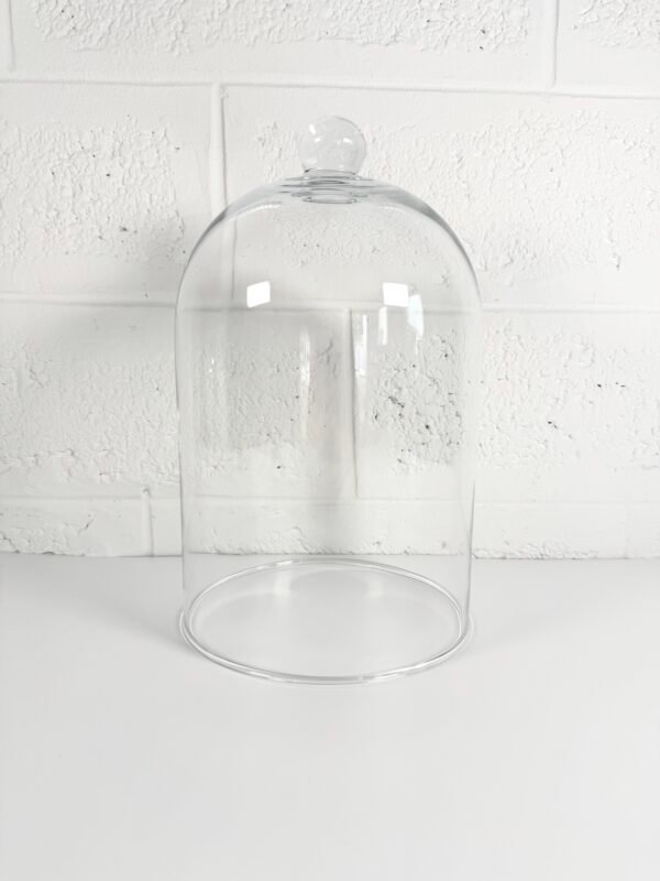 CLOCHE VERRE