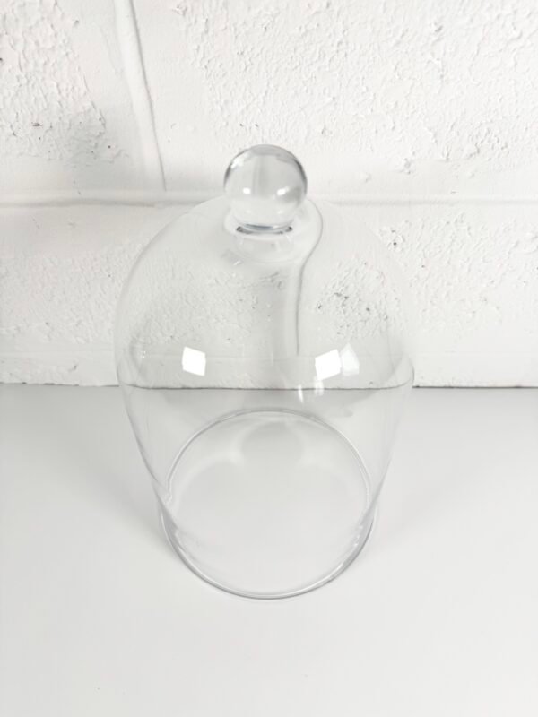 CLOCHE VERRE