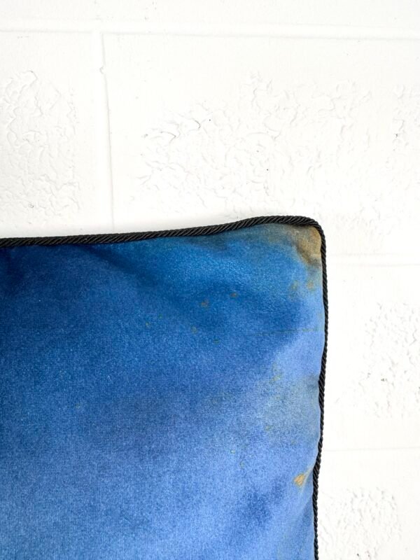 IMG_7427 GRAND COUSSIN LA LIGNE 29