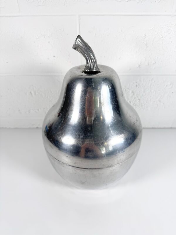 IMG_7515 POIRE À GLACONS INOX