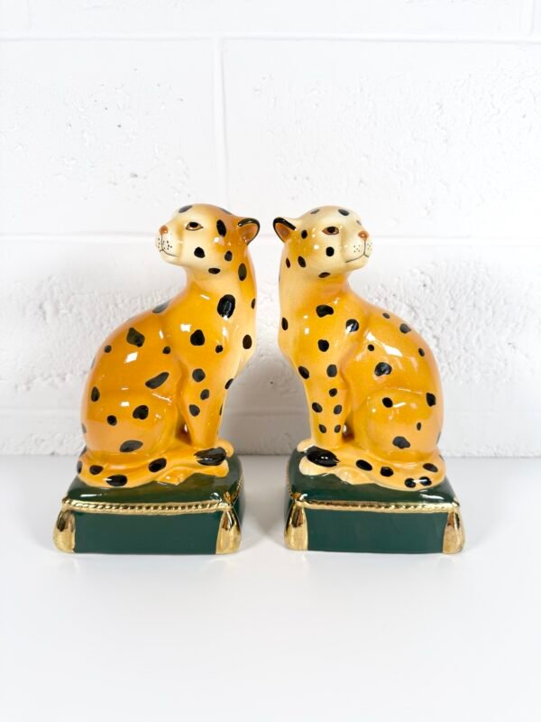 IMG_7521 SERRE-LIVRES LÉO TAKAHASHI