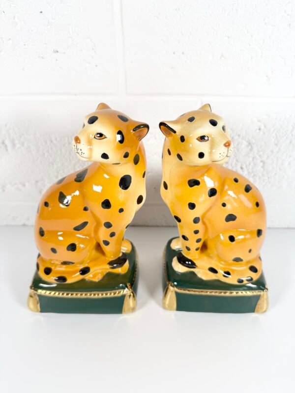 IMG_7524 SERRE-LIVRES LÉO TAKAHASHI