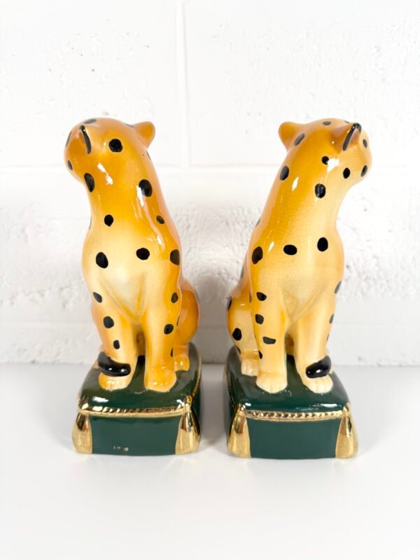 IMG_7525 SERRE-LIVRES LÉO TAKAHASHI