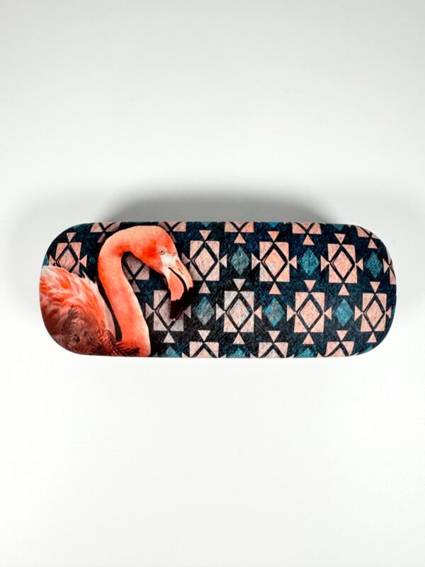 IMG_8171 BOITE À LUNETTES PHENIX