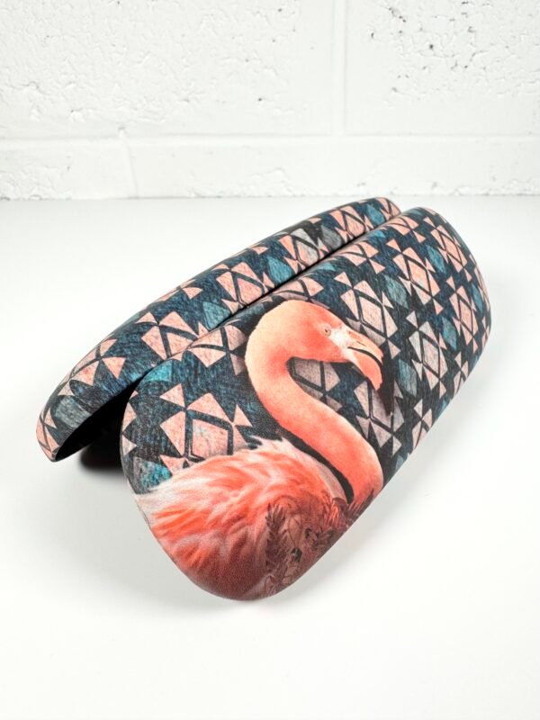 IMG_8176 BOITE À LUNETTES PHENIX