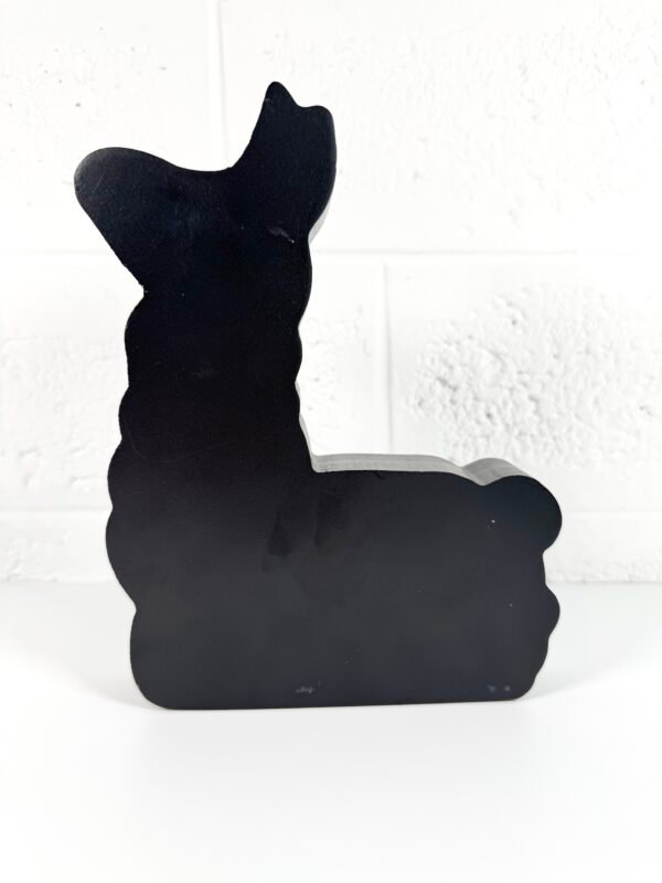 IMG_8464 SERGE LE LAMA