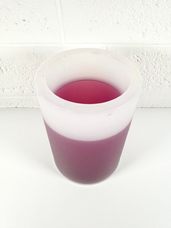 IMG_8690 RAFRAÎCHISSEUR BOUTEILLE VIOLET