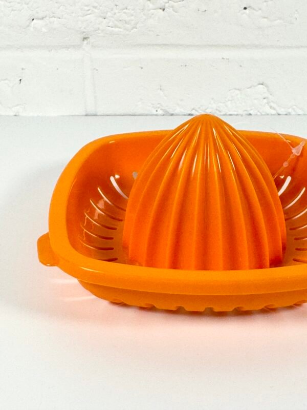 IMG_8730 PETIT PRESSE AGRUMES ORANGE