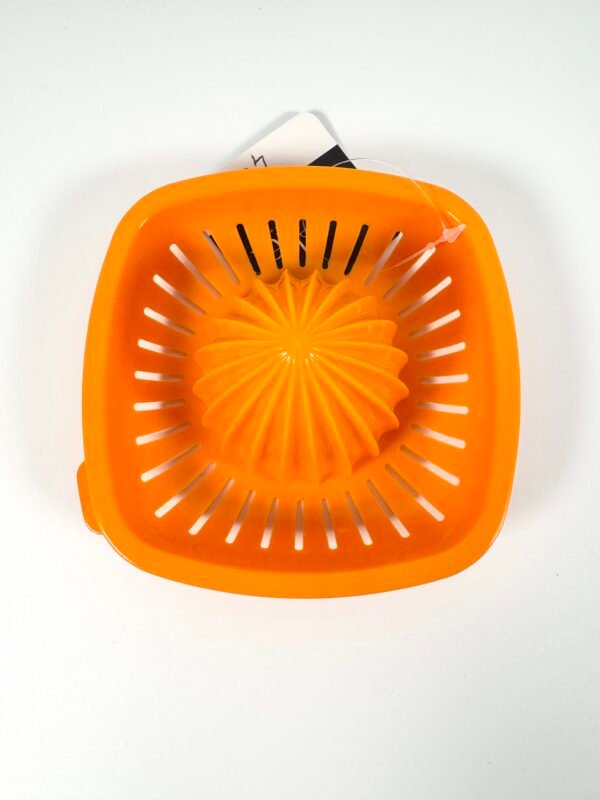 IMG_8731 PETIT PRESSE AGRUMES ORANGE