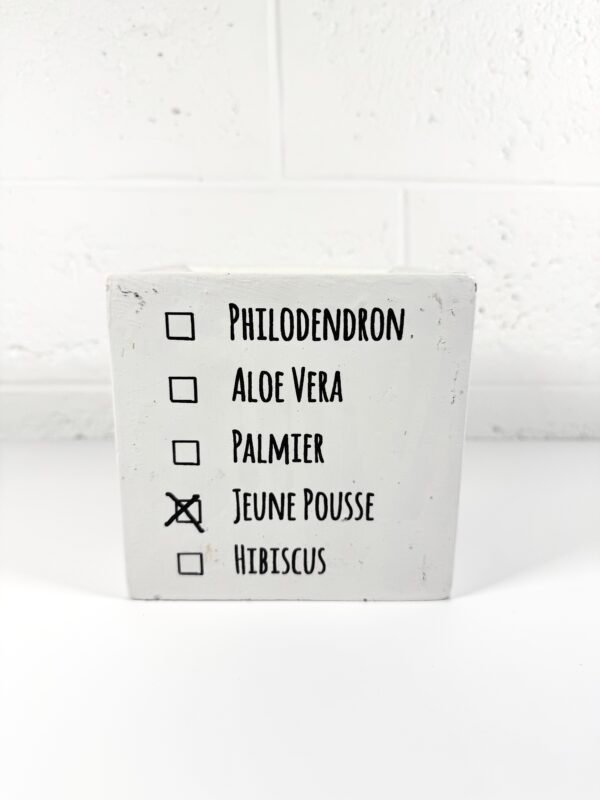 CACHE POT BÉTON BLANC