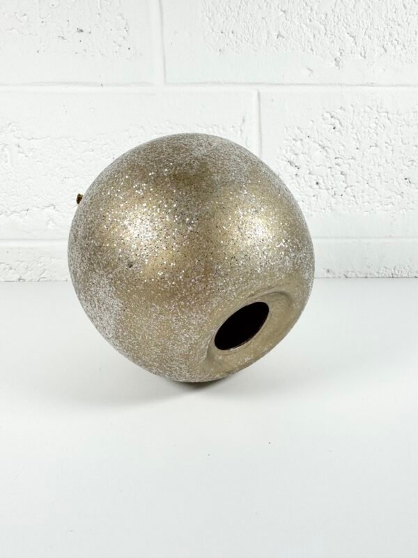 IMG_8892 POMME À PAILLETTES