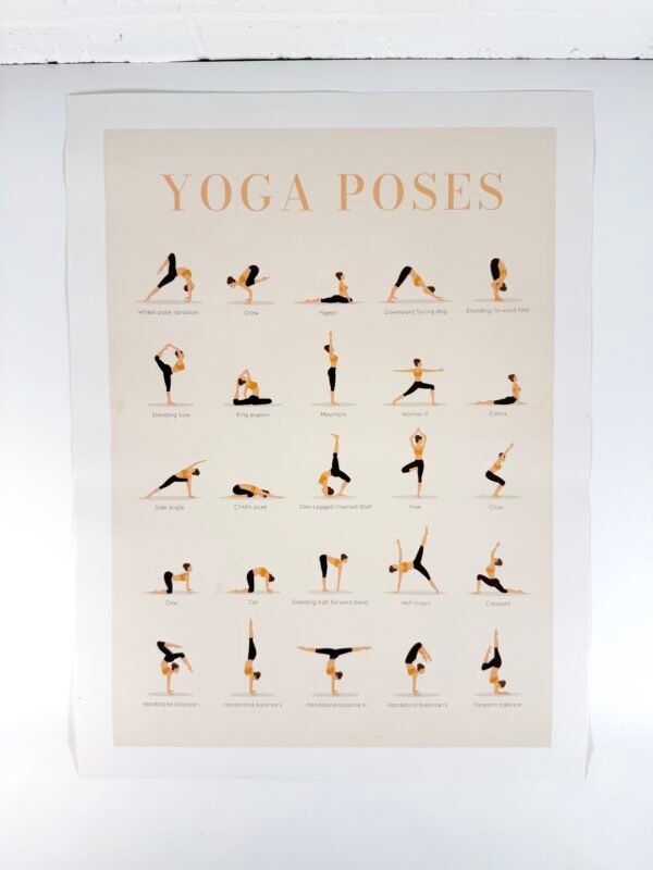 IMG_9020 PETITE AFFICHE YOGA POSES