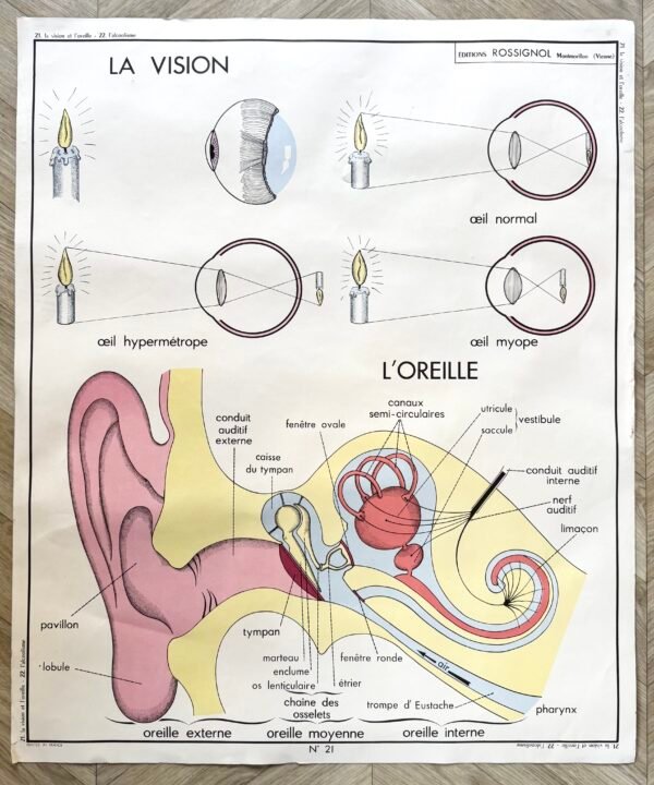 IMG_9098 AFFICHE SCOLAIRE VISION / ALCOOLISME