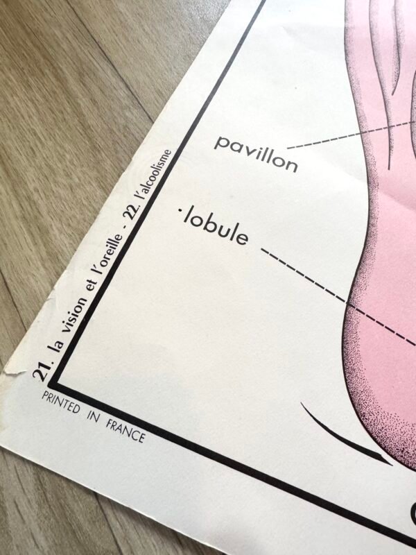 IMG_9099 AFFICHE SCOLAIRE VISION / ALCOOLISME