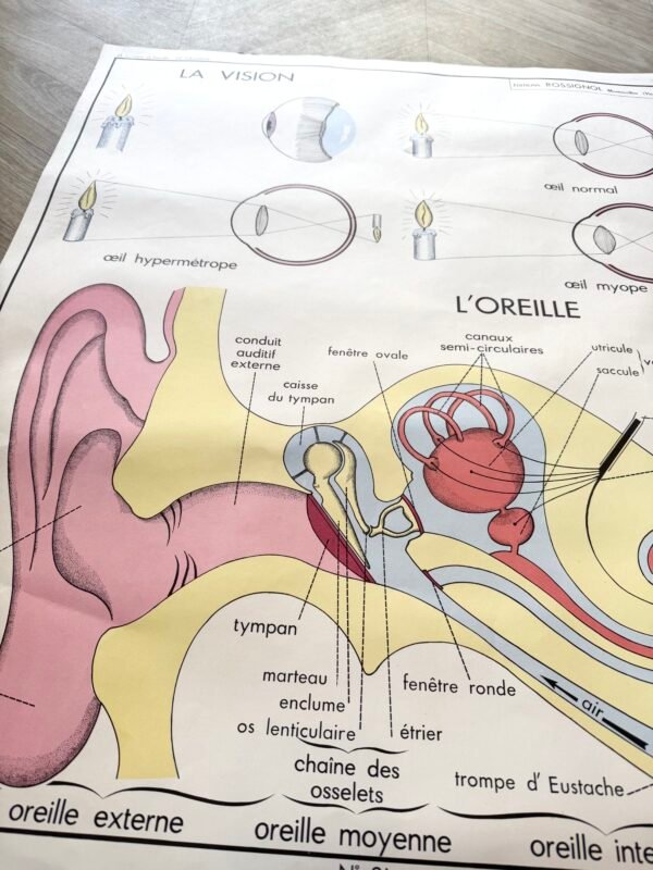 IMG_9100 AFFICHE SCOLAIRE VISION / ALCOOLISME