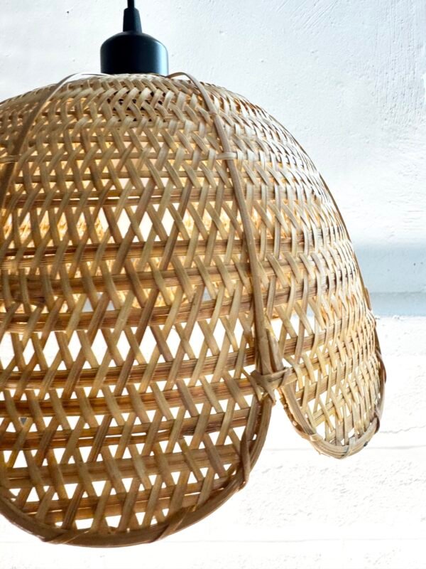 IMG_9110 SUSPENSION ROTIN FLEUR