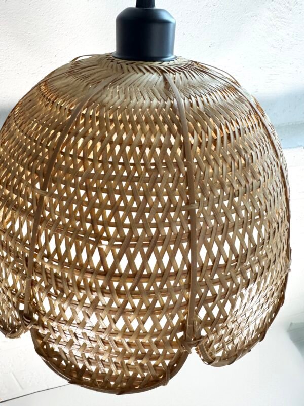 IMG_9112 SUSPENSION ROTIN FLEUR