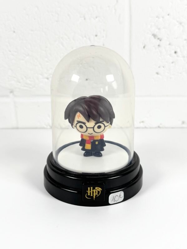 IMG_9305 PETIT GLOBE HARRY POTTER