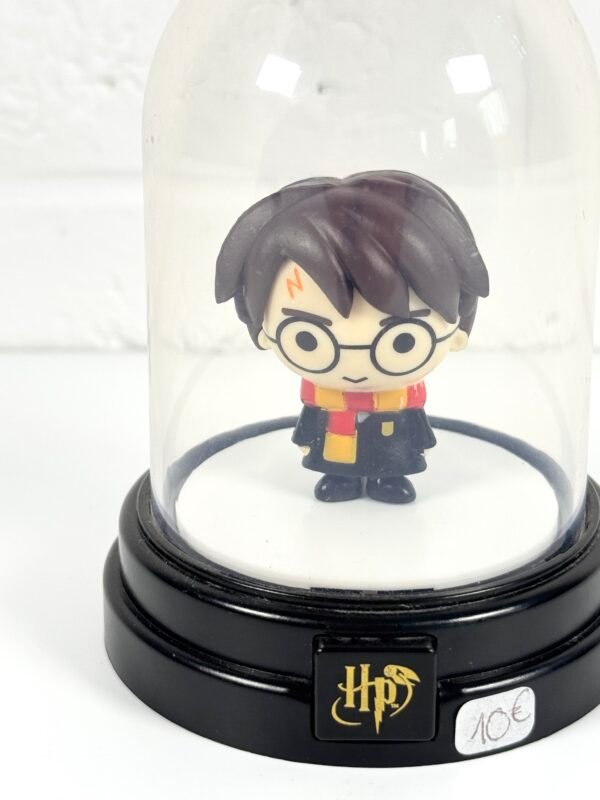 IMG_9306 PETIT GLOBE HARRY POTTER