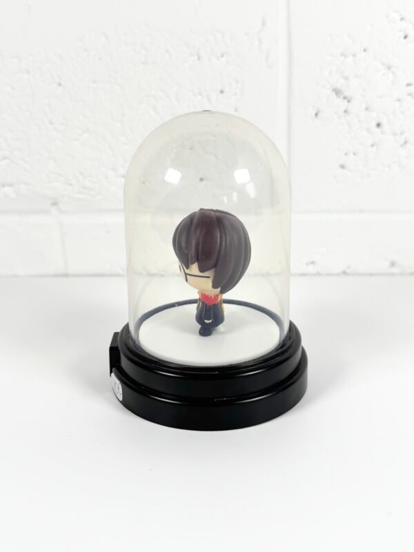 IMG_9307 PETIT GLOBE HARRY POTTER