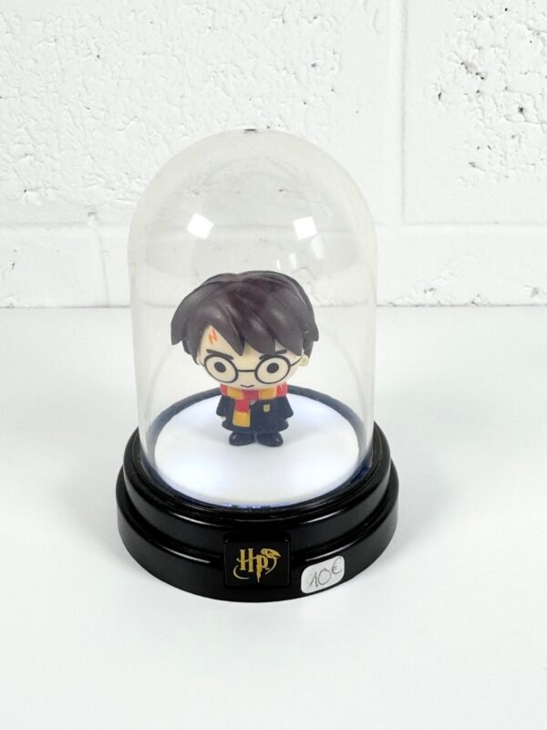 IMG_9311 PETIT GLOBE HARRY POTTER