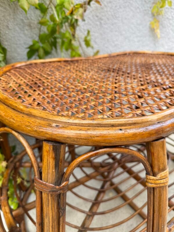 IMG_9441 TABLE BASSE ROTIN