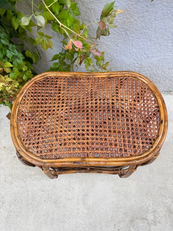 IMG_9442 TABLE BASSE ROTIN