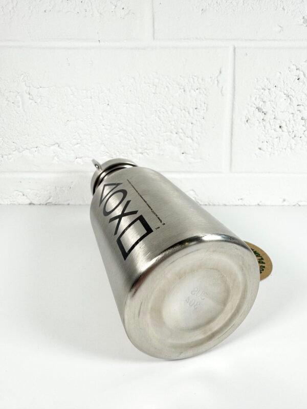 IMG_9519 GOURDE EN MÉTAL PLAYSTATION