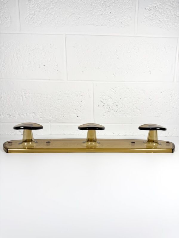 IMG_9917 PORTE MANTEAU MURAL FUMÉ