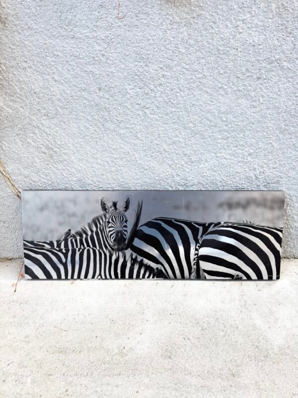 IMG_9932 TABLEAU ZÈBRES