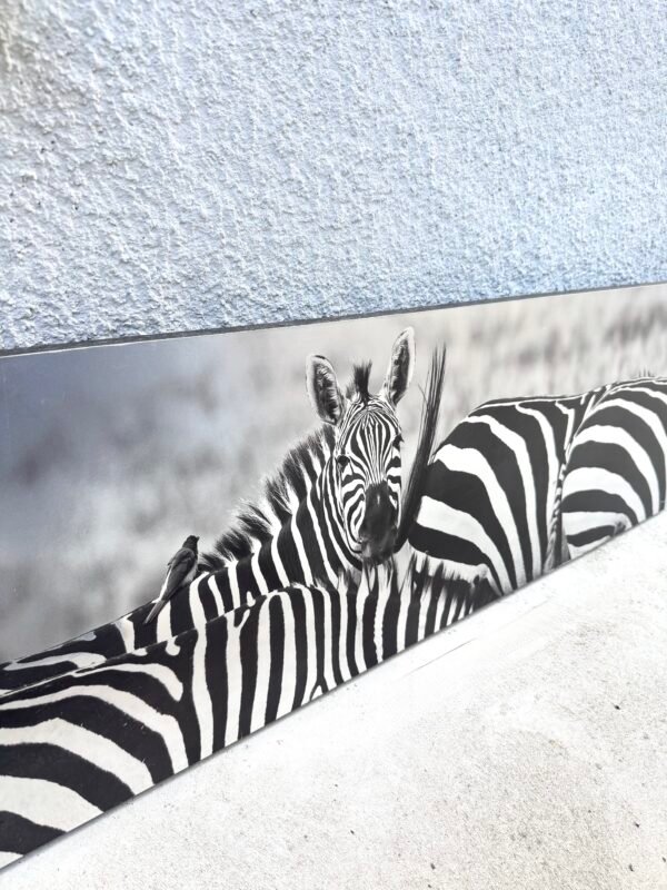 IMG_9933 TABLEAU ZÈBRES
