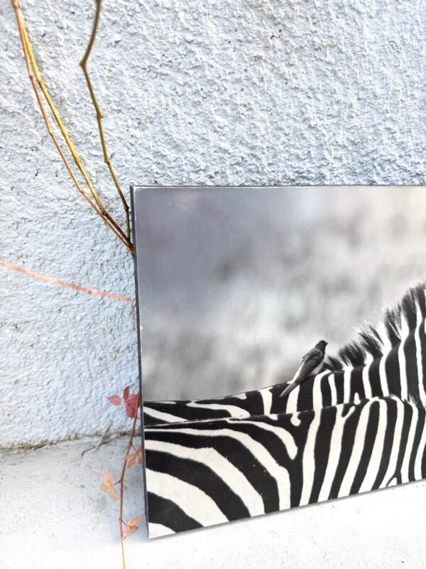 IMG_9934 TABLEAU ZÈBRES