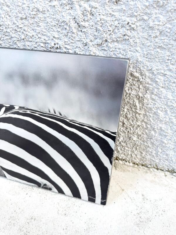 IMG_9935 TABLEAU ZÈBRES