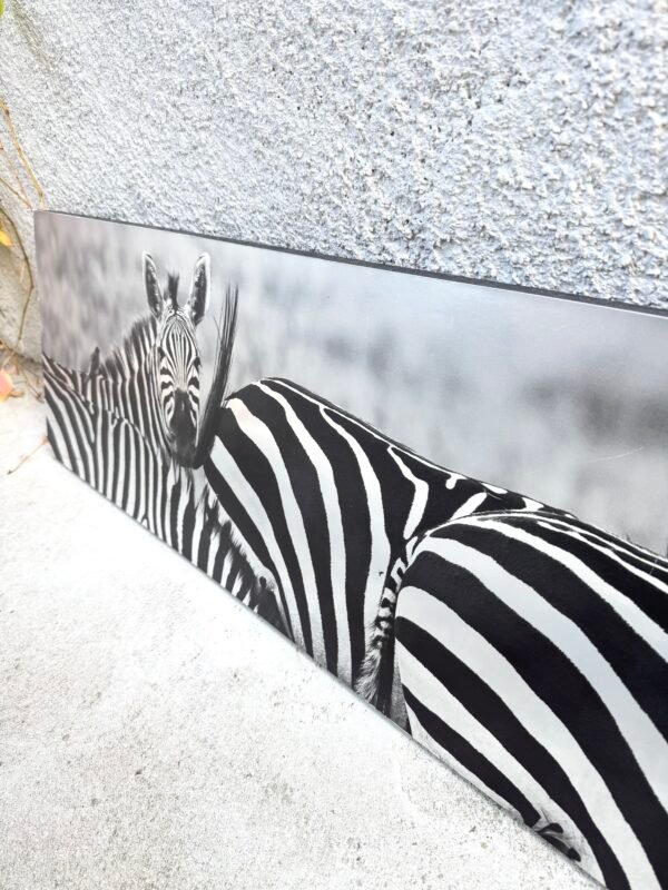 IMG_9936 TABLEAU ZÈBRES