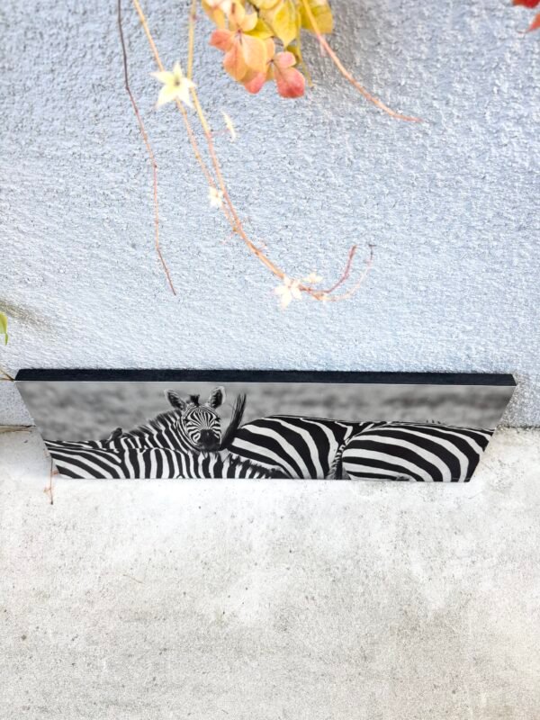 IMG_9937 TABLEAU ZÈBRES