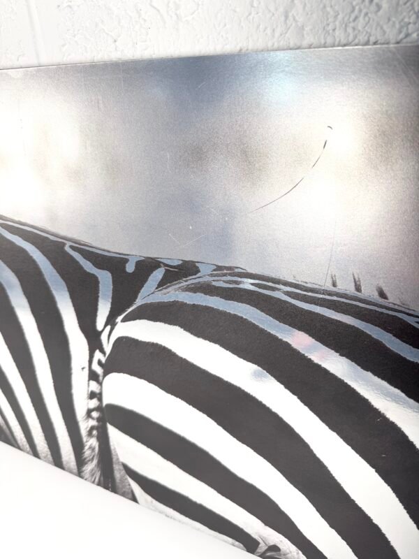 IMG_9939 TABLEAU ZÈBRES