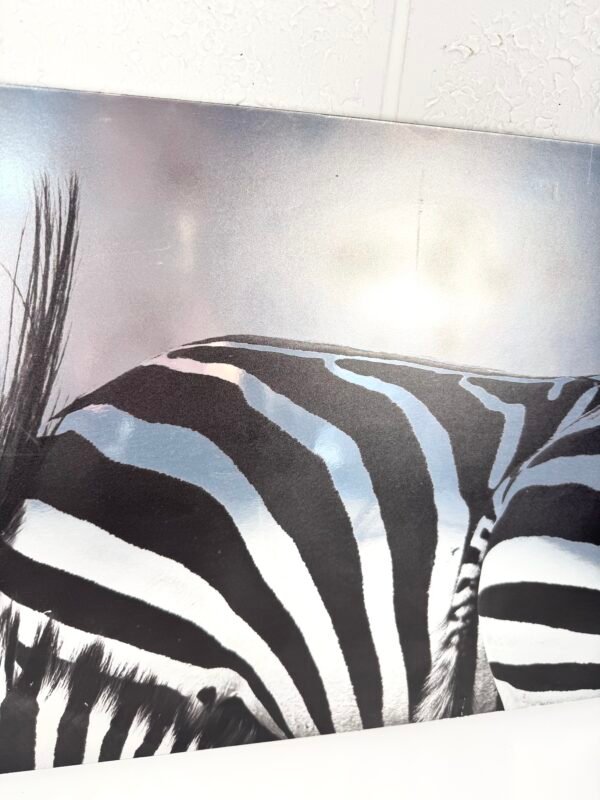 IMG_9940 TABLEAU ZÈBRES