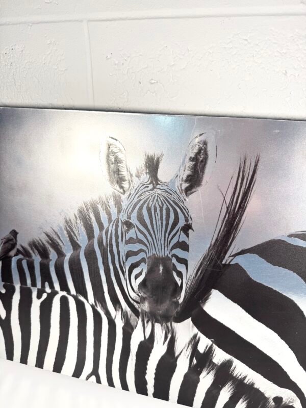 IMG_9941 TABLEAU ZÈBRES